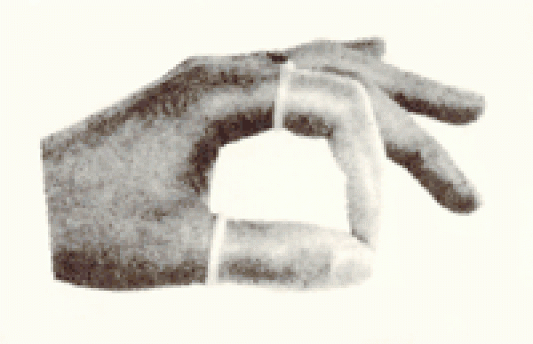 Sander-Fingerlinge 3-fach "transparent/normal"